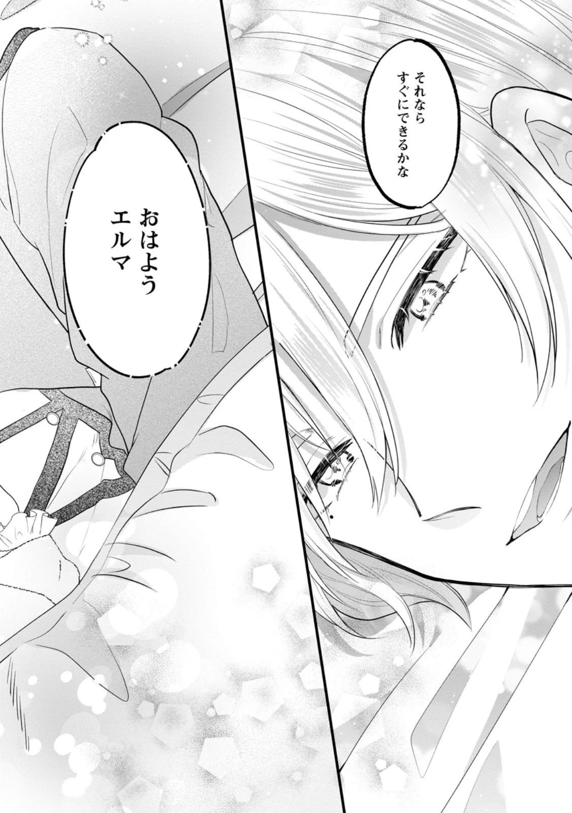 家族に役立たずと言われ続けたわたしが、魔性の公爵騎士様の最愛になるまで 第24.2話 - 3