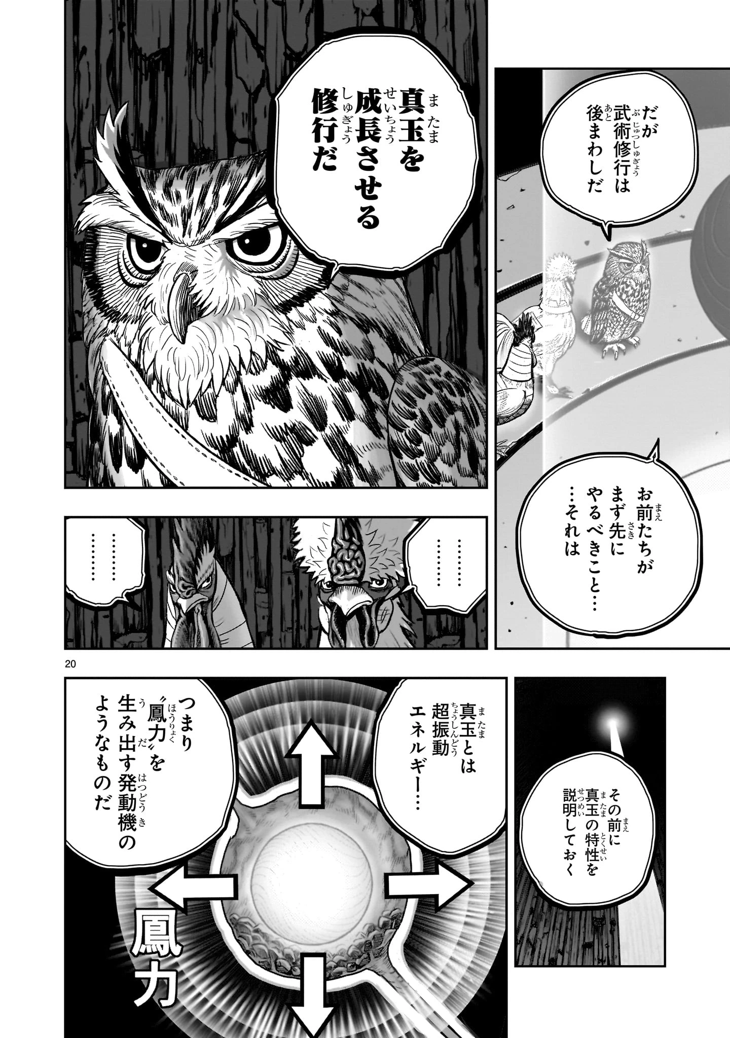 ニワトリ・ファイター 第46話 - 20
