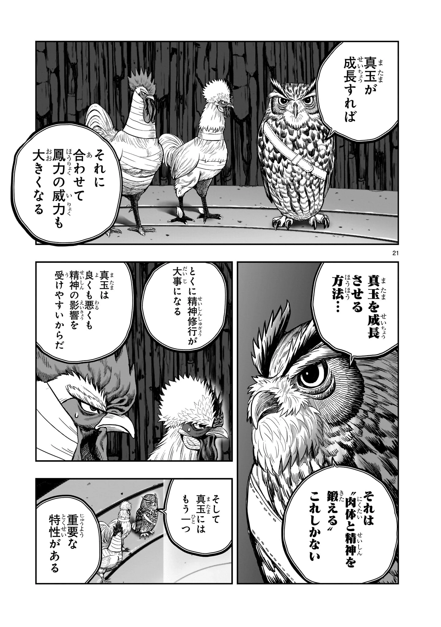 ニワトリ・ファイター 第46話 - 21